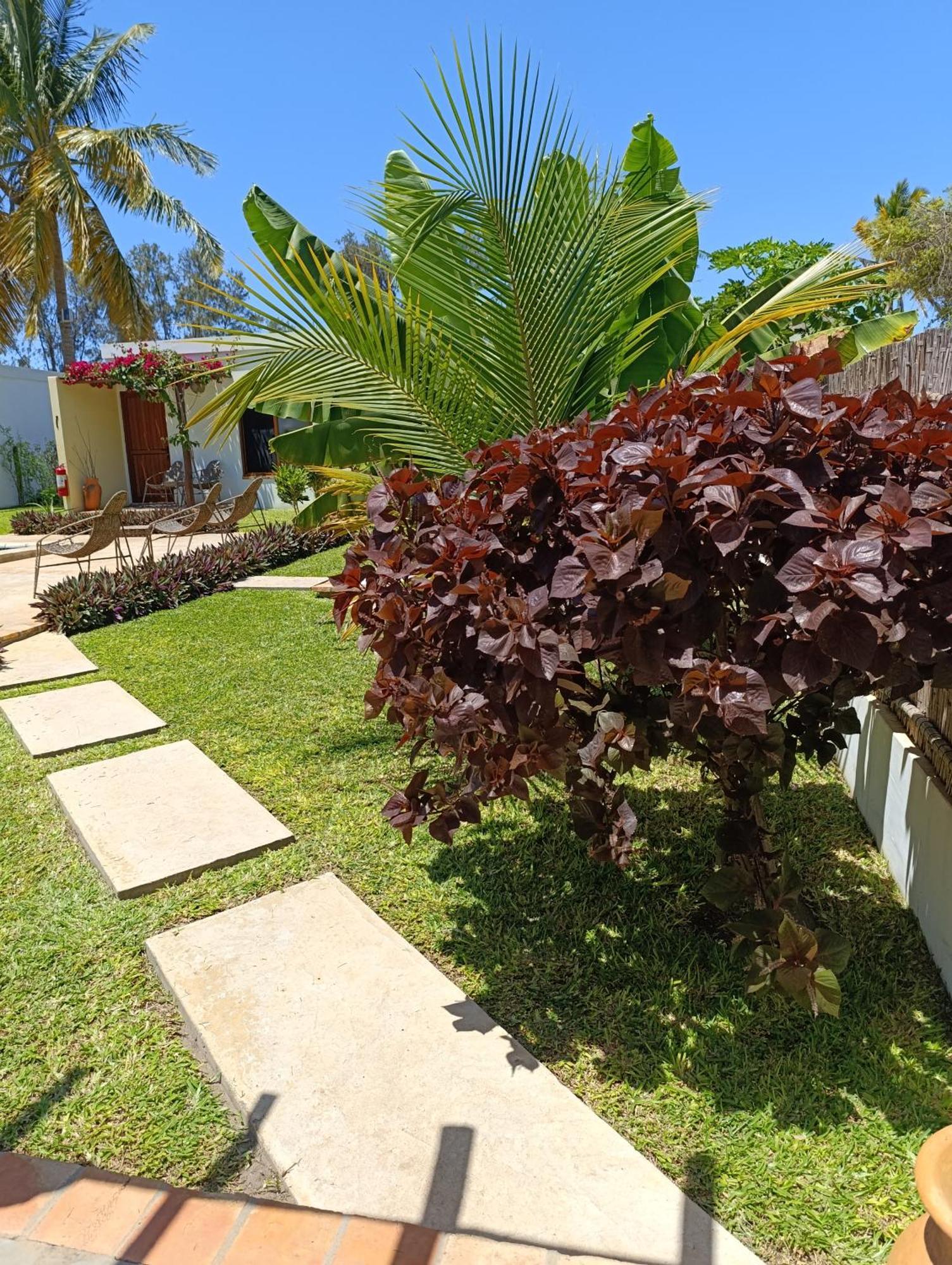 Telvina Beach Lodge Vilanculos Exterior foto