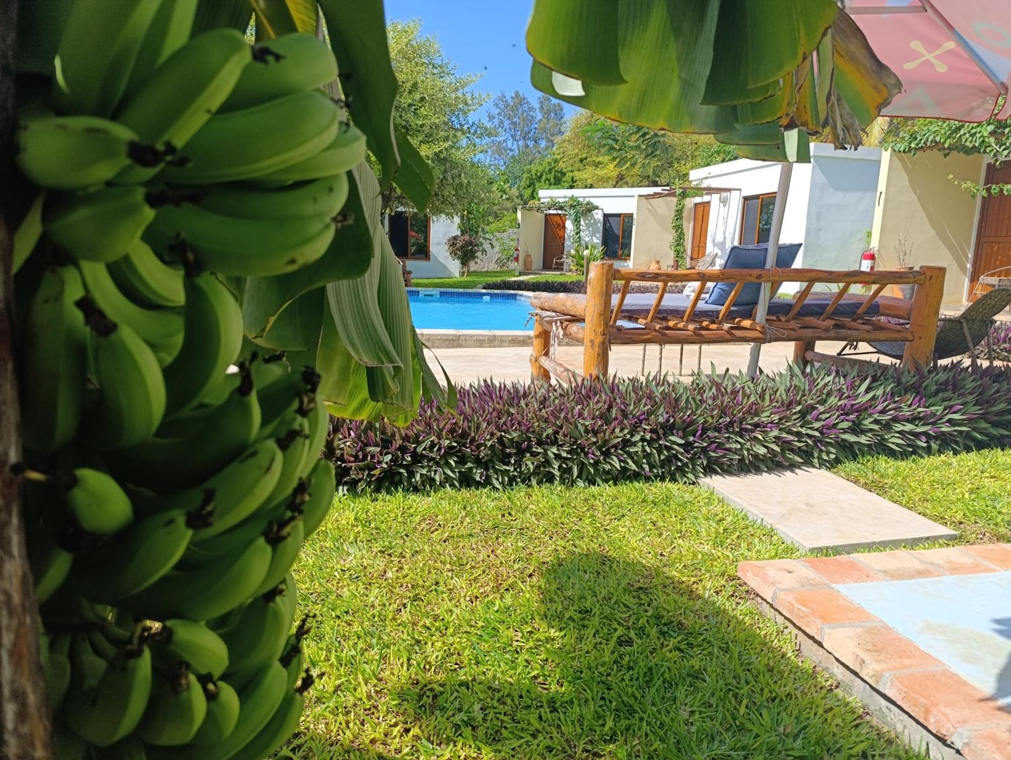 Telvina Beach Lodge Vilanculos Exterior foto